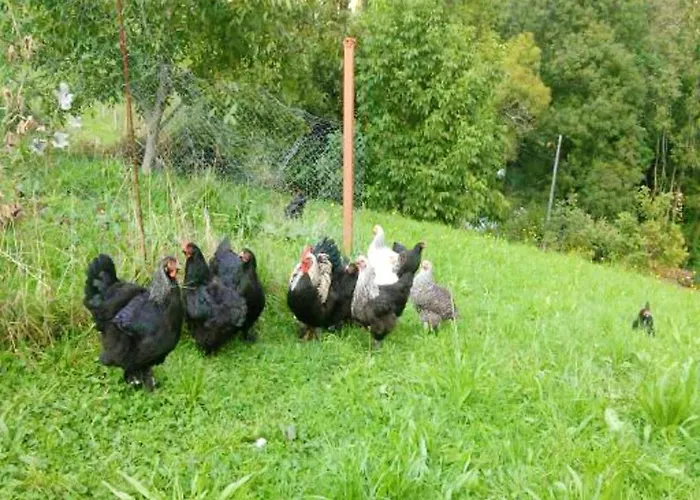 Holiday home Charming House In With Jacuzzi La Cavada